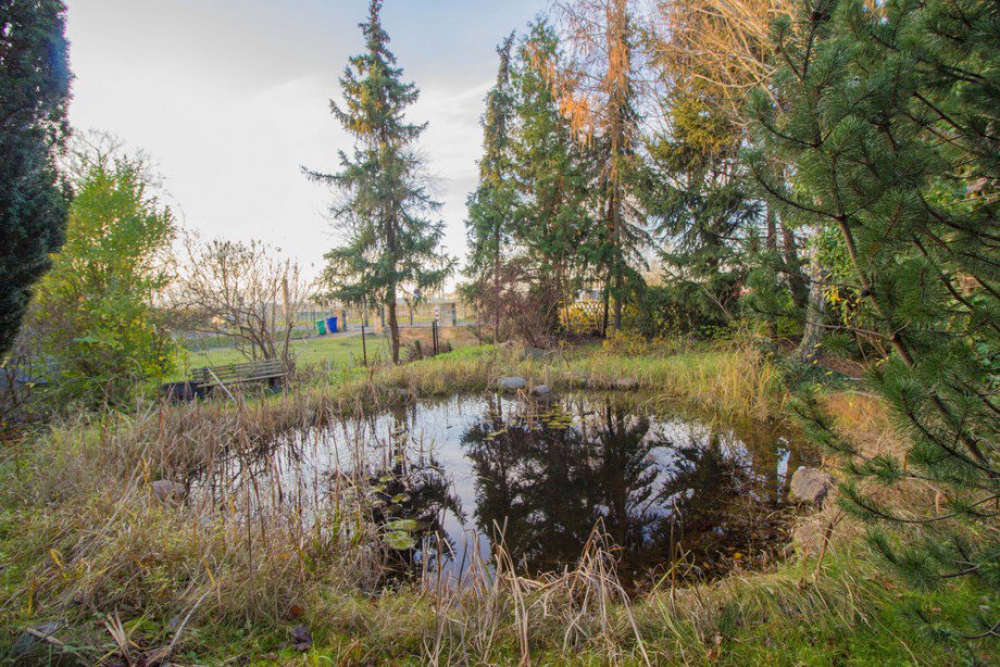 Teich Einfamilienhaus Sch�nefeld