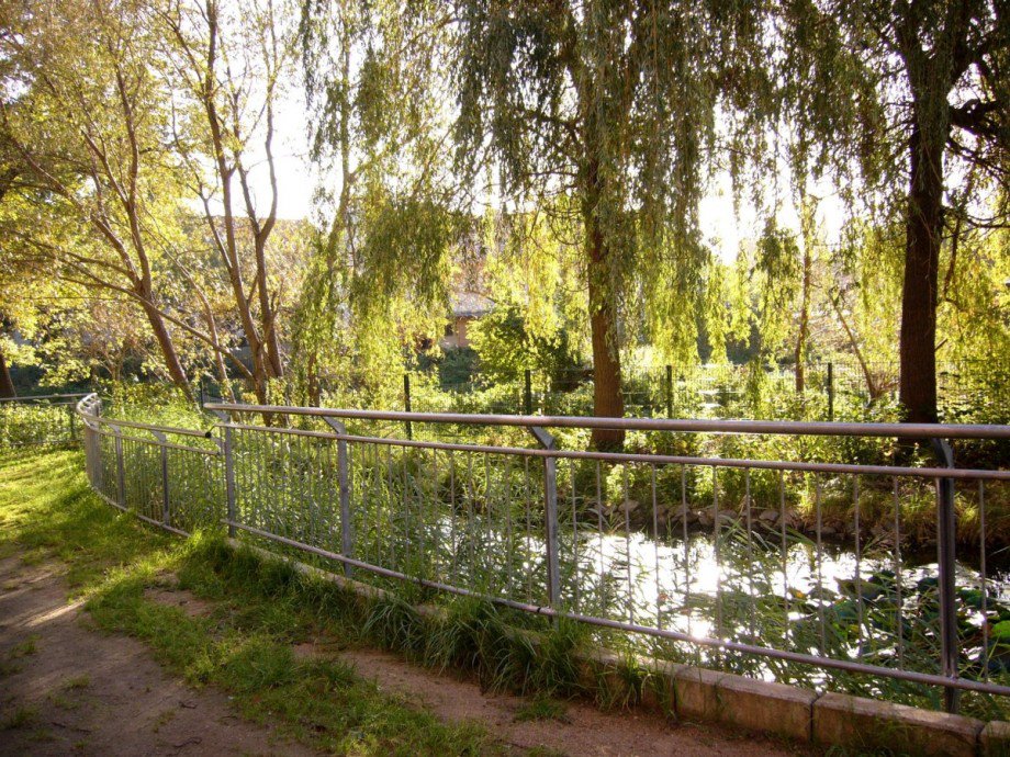 gruene Oase am Haus.jpg Dachgeschosswohnung Berlin Niedersch�nhausen