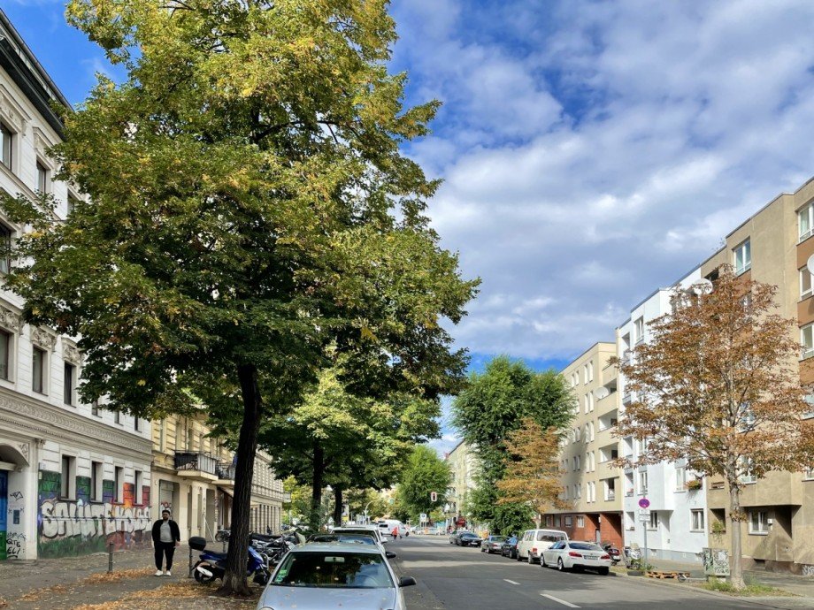 Blick in die Stra�e Etagenwohnung Berlin Mitte