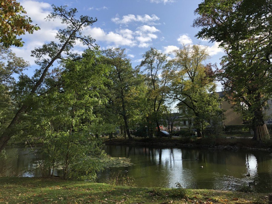 nahe Dorfteich gelegen Erdgeschosswohnung Sch�nefeld