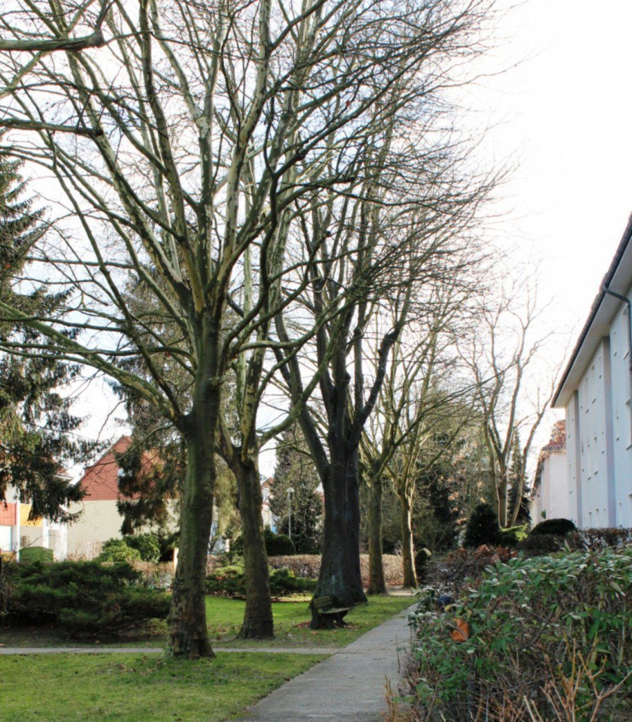 Blick vor der Haust�r.JPG Etagenwohnung Berlin Zehlendorf