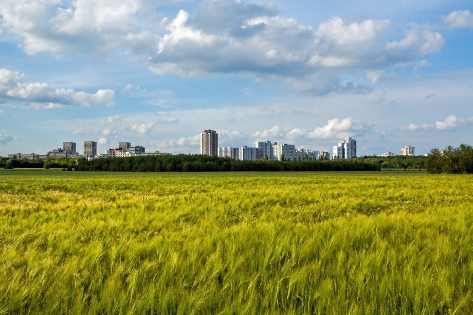 ...am Naturraum vor der Metropole! Dachgeschosswohnung Gro�ziethen