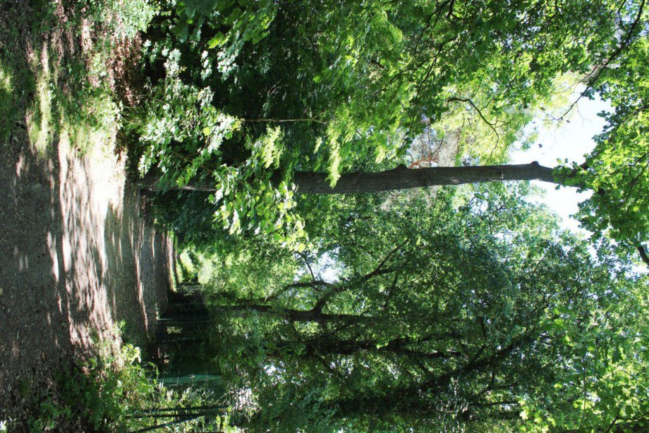 Idyllische Waldrandlage Wohngrundst�ck Berlin