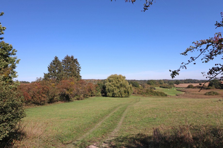 Aussicht Bauernhaus Vollrathsruhe / Hallalit