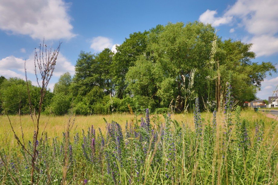 ...mit Wiesen, W�ldern & Feldern Wohngrundst�ck Sch�nefeld