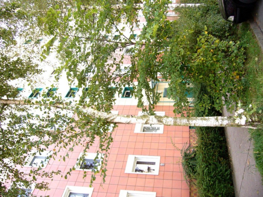 das Haus.jpg Etagenwohnung Berlin Lichtenberg