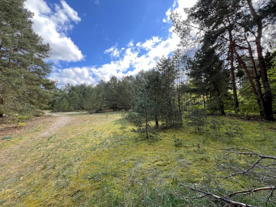 Grundst�ck Ansicht 4 Grundst�ck Bestensee