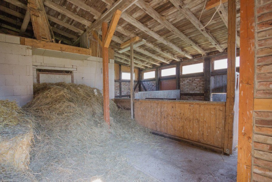 Stall mit Boxen Einfamilienhaus Poseritz / R�gen