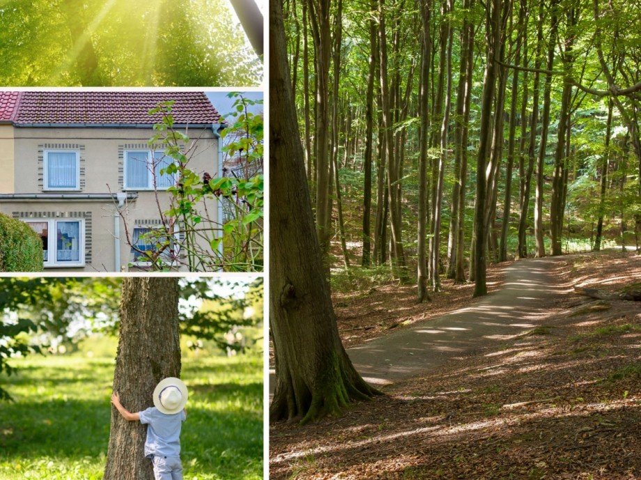 Waldrandlage Doppelhaush�lfte Plau am See