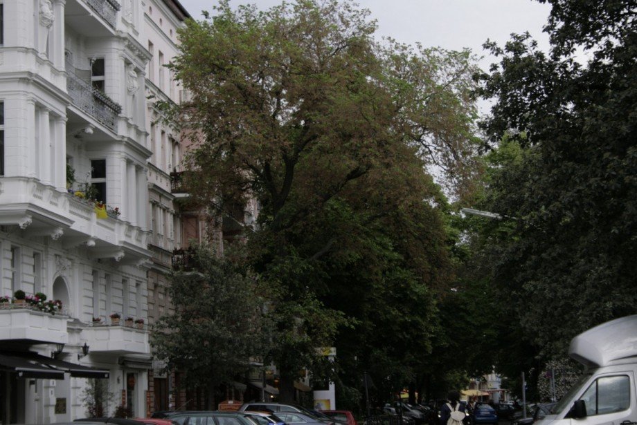 Stra�enbild Etagenwohnung Berlin Sch�neberg