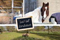 Bild (afaf5d5a8fc798221633866444ef2ae4): Landleben auf der Insel R�gel - Wohnhaus mit Stallgeb�ude & Nebengelass, 432 m� Wohn-Nutzfl�che