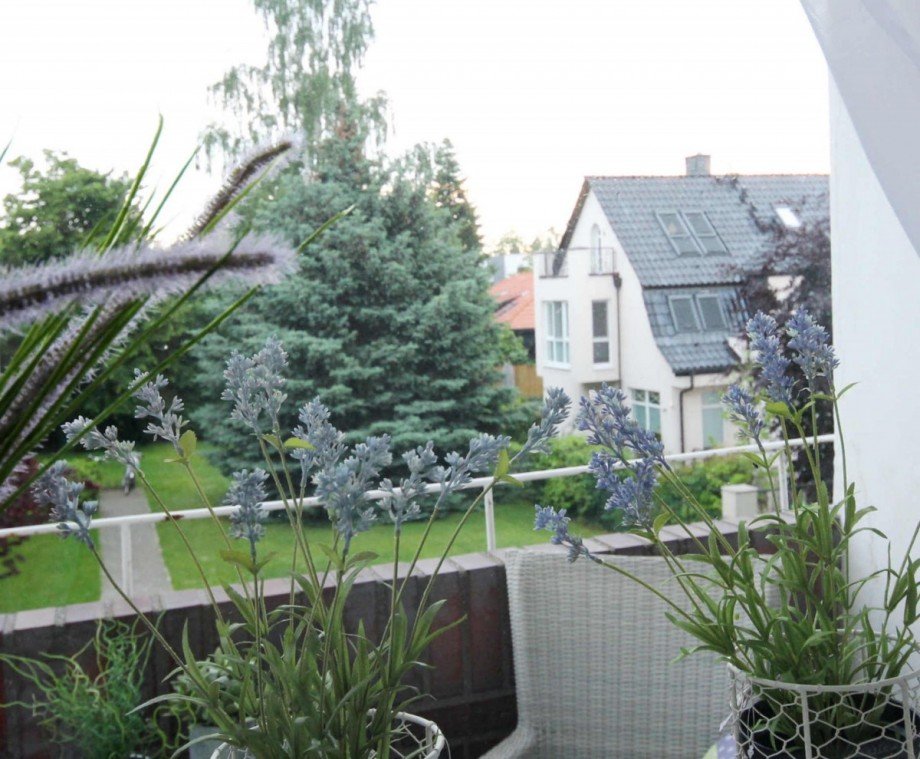 Blick Loggia Erdgeschosswohnung Berlin Zehlendorf