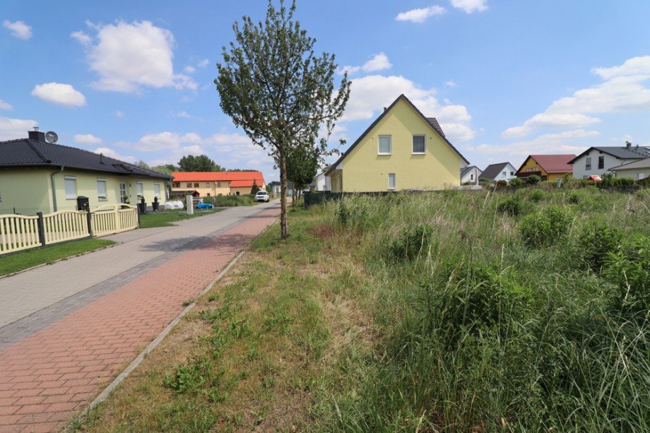 Stra�enansicht Wohngrundst�ck Sch�nefeld
