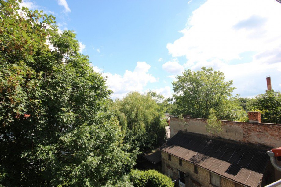 Garten mit Remise Dachgeschosswohnung Berlin Pankow