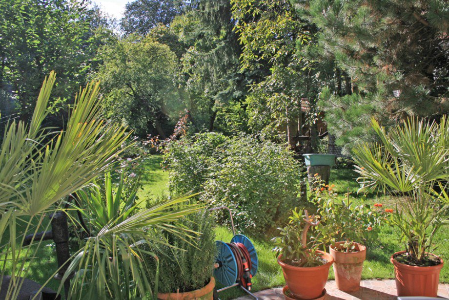 Garten Villa Berlin