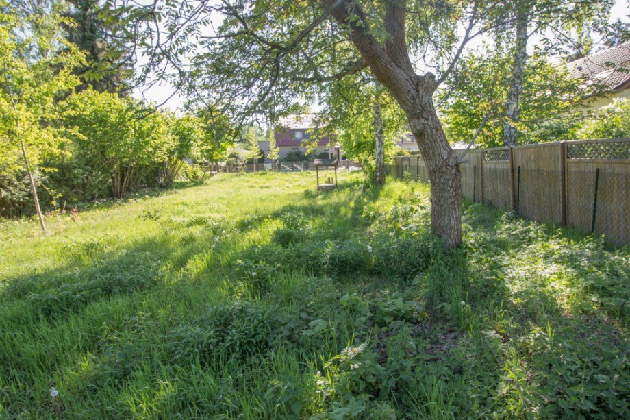 Baumbestand auf dem Grundst�ck Wohngrundst�ck Falkensee