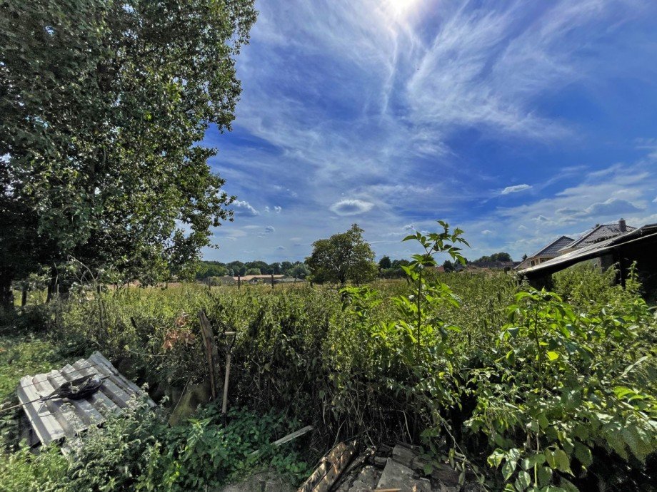 Nachbarschaft Doppelhaush�lfte Gro� Kelle