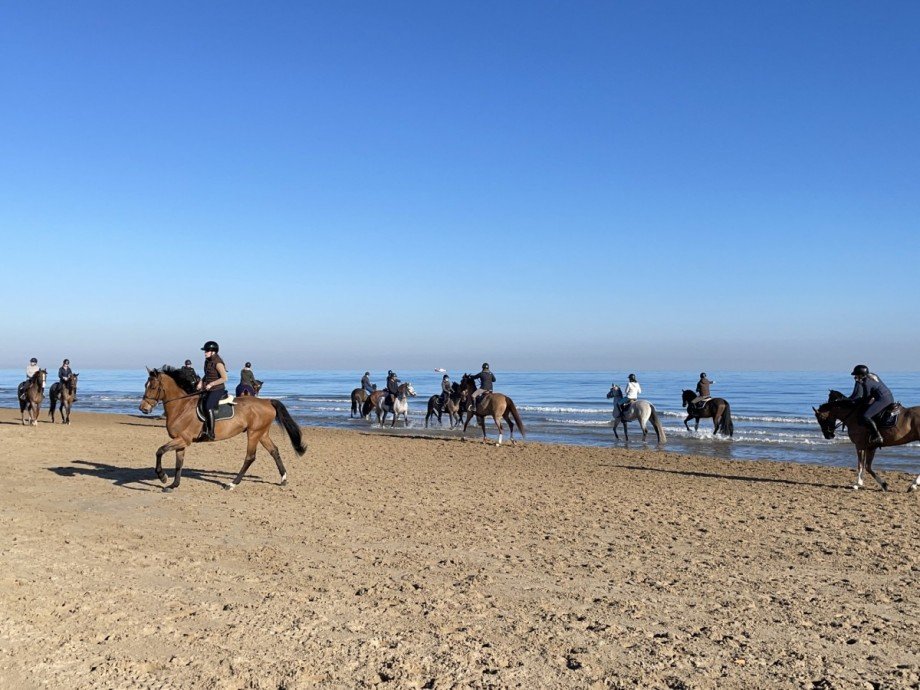 Wellness der Pferde Penthousewohnung Oliva