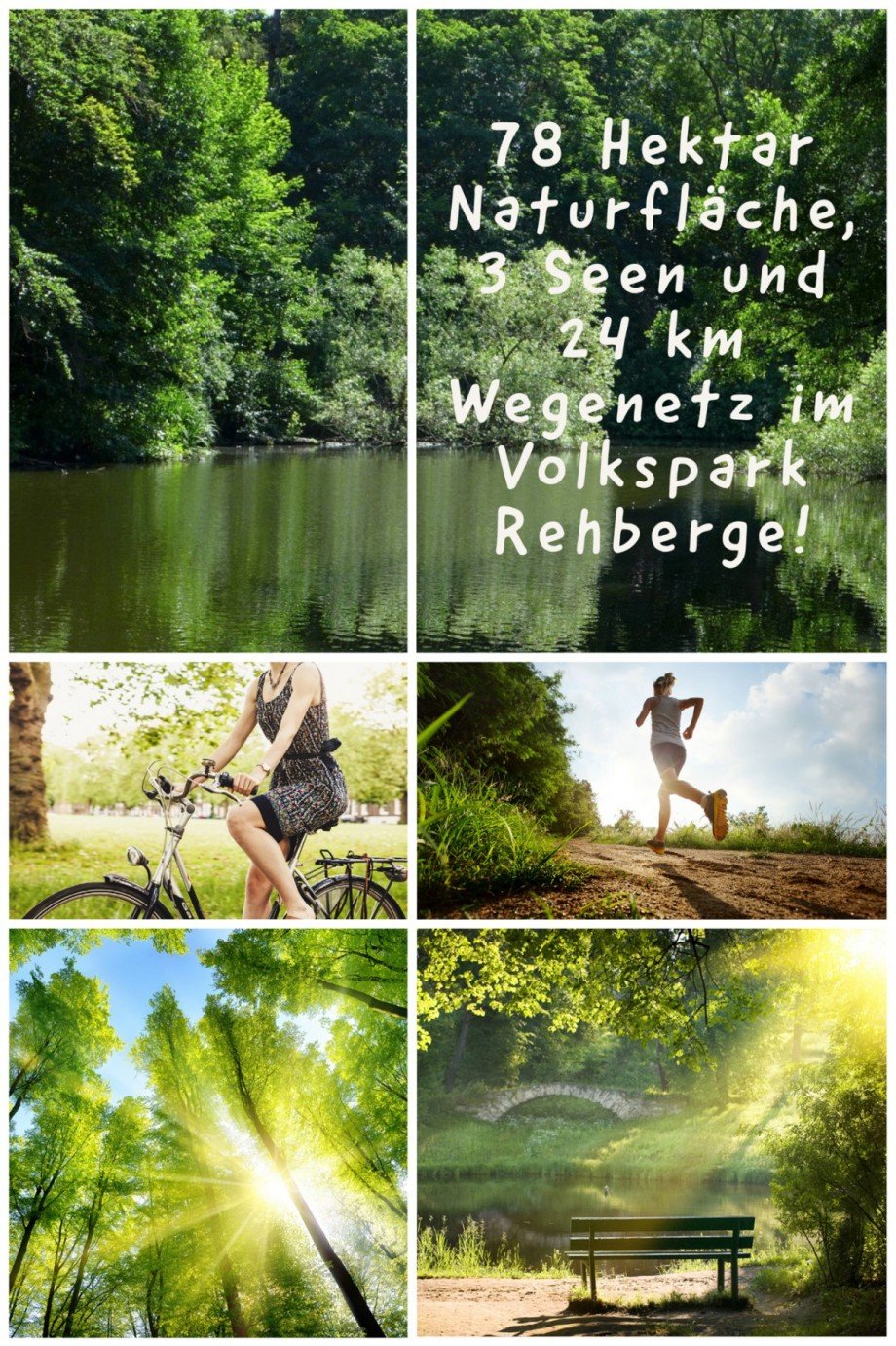 4 Minuten Radweg bis zum Volkspark Rehberge Etagenwohnung Berlin Mitte