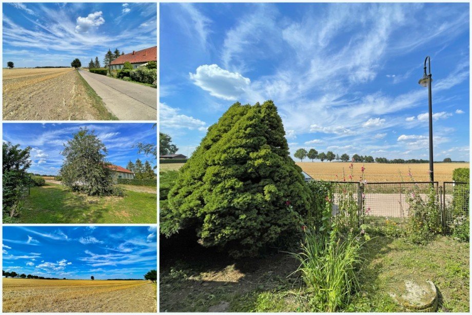 ...& kreative K�pfe Doppelhaush�lfte Gro� Kelle