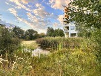 Hauptbild Kapitalanlage zwischen Biotop und BER in Schönefeld
