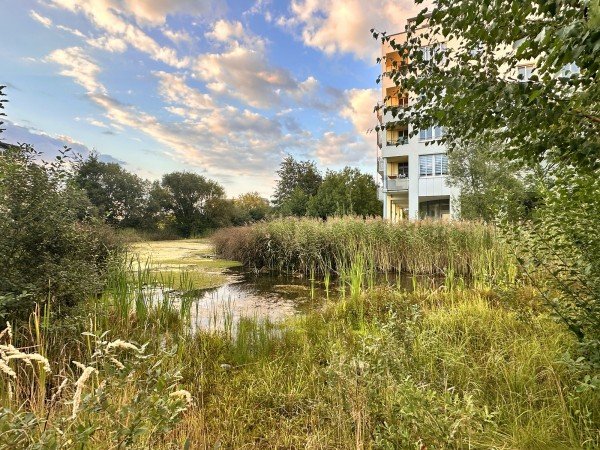 Hauptbild Kapitalanlage zwischen Biotop und BER in Schönefeld