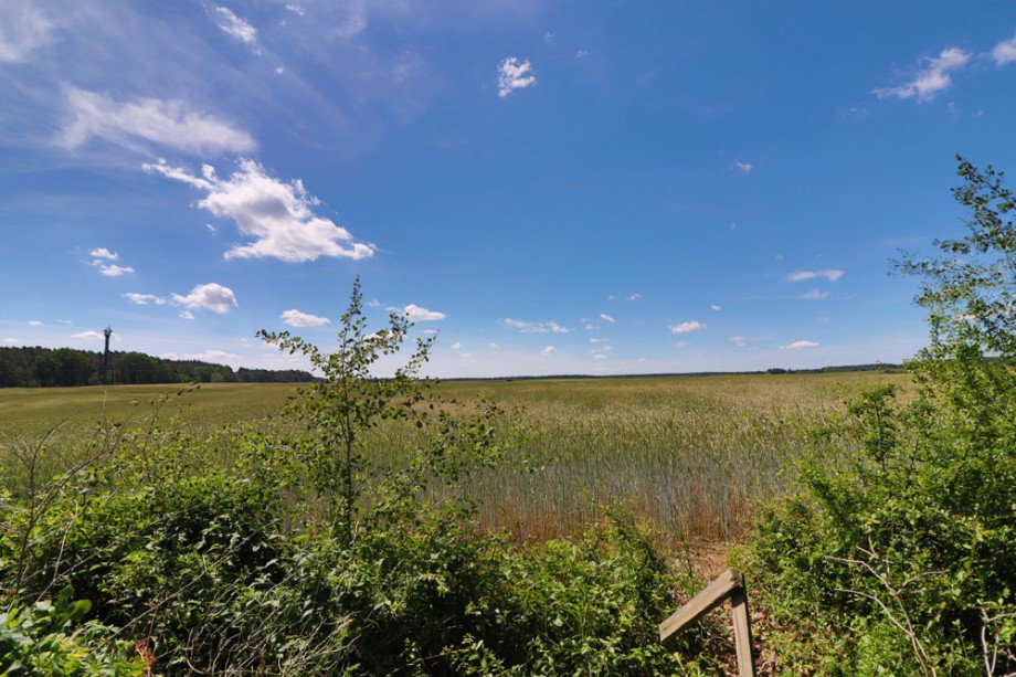 tolle Lage angrenzend zu Feld, Wald und Wiesen Ferienhaus F�nfseen / Petersdorf