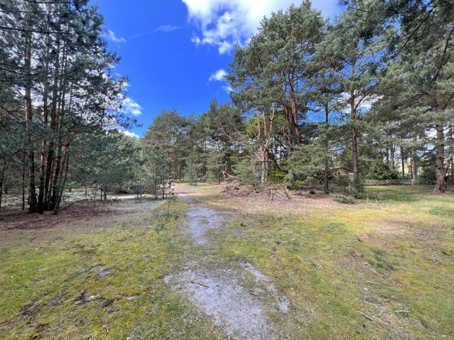 Grundst�ck Ansicht 1 Grundst�ck Bestensee