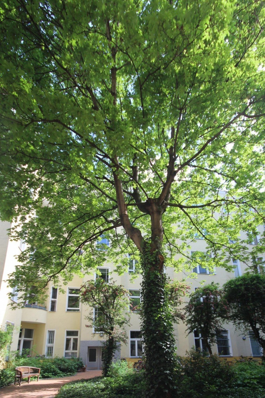 Gr�ne Oase inmitten der City Erdgeschosswohnung Berlin